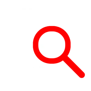 réalisation d'audit professionnel